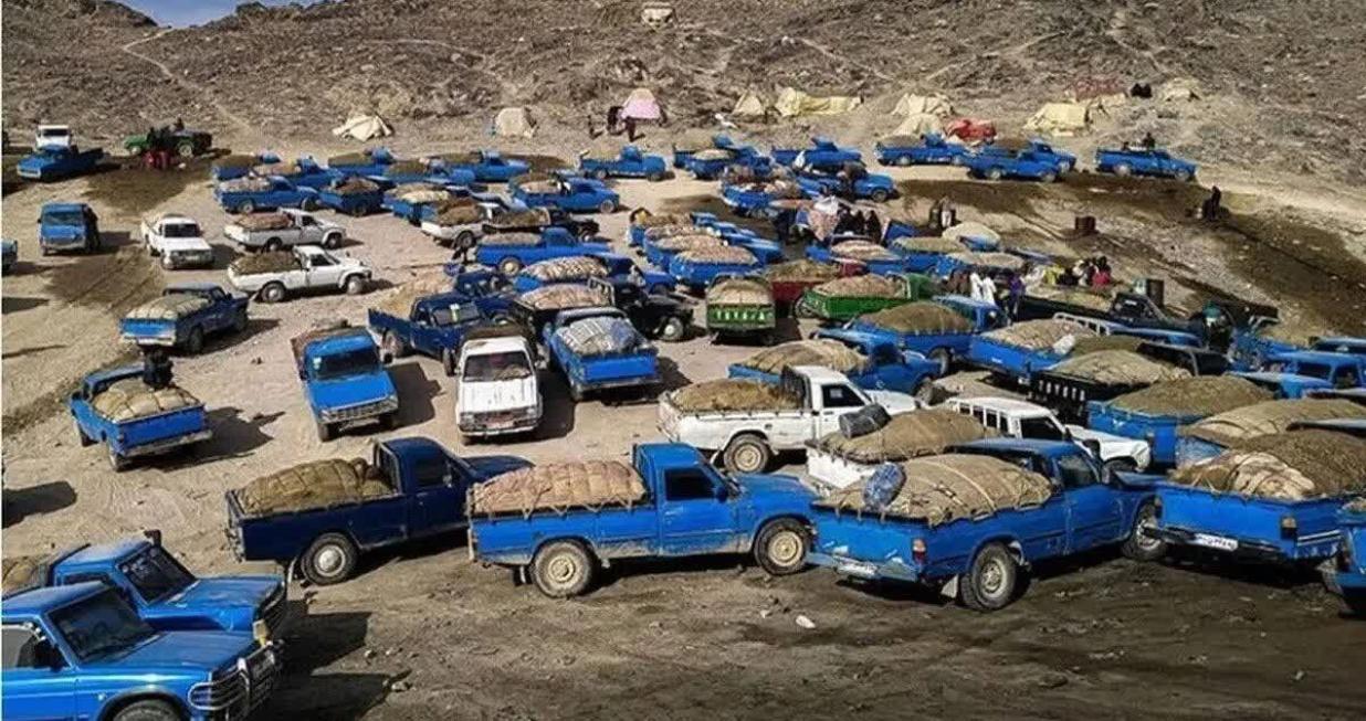 تأکید بر کارآمدی مجازات‌ها در اصلاح قانون مبارزه با مواد مخدر