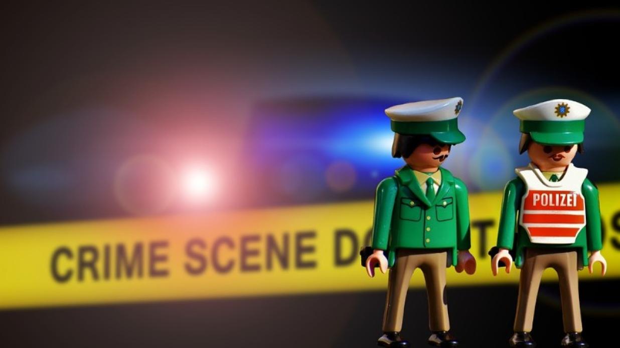 تفاوت شریک ، معاون و سبب اقوی از مباشر